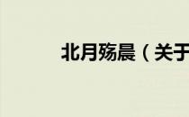 北月殇晨（关于北月殇晨简介）