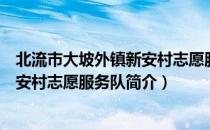 北流市大坡外镇新安村志愿服务队（关于北流市大坡外镇新安村志愿服务队简介）