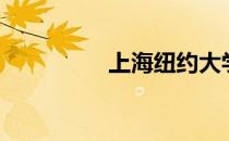 上海纽约大学（上海妞）