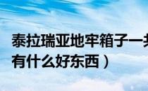 泰拉瑞亚地牢箱子一共多少个（泰拉瑞亚地牢有什么好东西）
