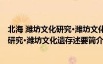 北海 潍坊文化研究·潍坊文化遗存述要（关于北海 潍坊文化研究·潍坊文化遗存述要简介）