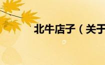 北牛店子（关于北牛店子简介）