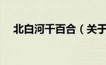 北白河千百合（关于北白河千百合简介）