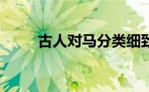 古人对马分类细致并冠以不同称呼