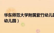 华东师范大学附属紫竹幼儿园（关于华东师范大学附属紫竹幼儿园）