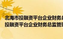 北海市投融资平台企业财务总监管理暂行办法（关于北海市投融资平台企业财务总监管理暂行办法简介）
