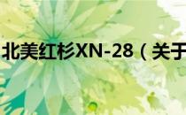 北美红杉XN-28（关于北美红杉XN-28简介）