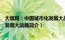 大棋局：中国城市化发展大战略（关于大棋局：中国城市化发展大战略简介）
