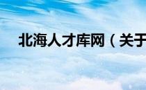 北海人才库网（关于北海人才库网简介）