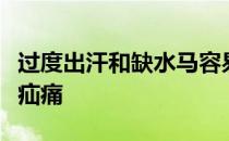 过度出汗和缺水马容易导致脱水现象甚至引起疝痛