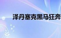 泽丹塞克黑马狂奔一路闯入女单四强