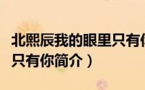 北熙辰我的眼里只有你（关于北熙辰我的眼里只有你简介）