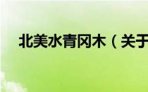 北美水青冈木（关于北美水青冈木简介）