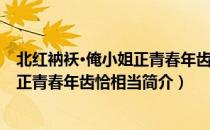北红衲袄·俺小姐正青春年齿恰相当（关于北红衲袄·俺小姐正青春年齿恰相当简介）