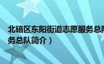 北碚区东阳街道志愿服务总队（关于北碚区东阳街道志愿服务总队简介）