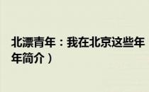 北漂青年：我在北京这些年（关于北漂青年：我在北京这些年简介）