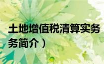 土地增值税清算实务（关于土地增值税清算实务简介）