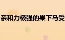 亲和力极强的果下马受到了很多小朋友的喜爱