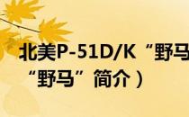 北美P-51D/K“野马”（关于北美P-51D/K“野马”简介）