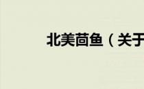 北美茴鱼（关于北美茴鱼简介）