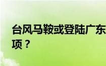 台风马鞍或登陆广东 台风来了要注意什么事项？