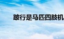 跛行是马匹四肢机能障碍的综合症状
