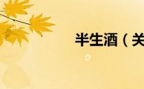 半生酒（关于半生酒）