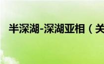 半深湖-深湖亚相（关于半深湖-深湖亚相）