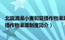 北疆滴灌小麦和复播作物灌溉制度（关于北疆滴灌小麦和复播作物灌溉制度简介）
