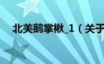 北美鹅掌楸_1（关于北美鹅掌楸_1简介）