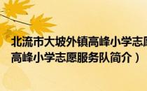 北流市大坡外镇高峰小学志愿服务队（关于北流市大坡外镇高峰小学志愿服务队简介）