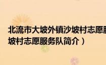 北流市大坡外镇沙坡村志愿服务队（关于北流市大坡外镇沙坡村志愿服务队简介）