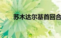 苏木达尔基首回合44秒KO击败戈登