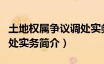 土地权属争议调处实务（关于土地权属争议调处实务简介）