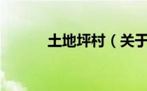土地坪村（关于土地坪村简介）
