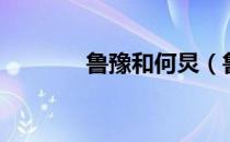 鲁豫和何炅（鲁豫有约何炅）
