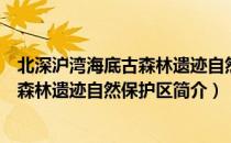 北深沪湾海底古森林遗迹自然保护区（关于北深沪湾海底古森林遗迹自然保护区简介）