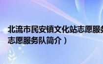 北流市民安镇文化站志愿服务队（关于北流市民安镇文化站志愿服务队简介）