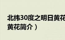 北纬30度之明日黄花（关于北纬30度之明日黄花简介）