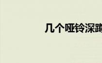 几个哑铃深蹲最好最适合 