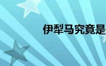 伊犁马究竟是什么样的马呢