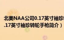 北美NAA公司0.17英寸袖珍转轮手枪（关于北美NAA公司0.17英寸袖珍转轮手枪简介）