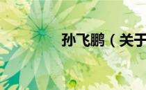 孙飞鹏（关于孙飞鹏介绍）
