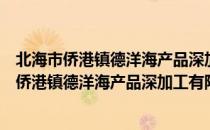 北海市侨港镇德洋海产品深加工有限责任公司（关于北海市侨港镇德洋海产品深加工有限责任公司简介）