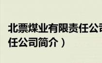 北票煤业有限责任公司（关于北票煤业有限责任公司简介）