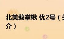北美鹅掌楸 优2号（关于北美鹅掌楸 优2号简介）