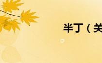 半丁（关于半丁）