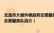 北流市大坡外镇政府志愿服务队（关于北流市大坡外镇政府志愿服务队简介）