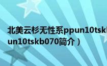 北美云杉无性系ppun10tskb070（关于北美云杉无性系ppun10tskb070简介）