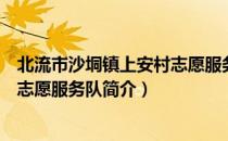 北流市沙垌镇上安村志愿服务队（关于北流市沙垌镇上安村志愿服务队简介）